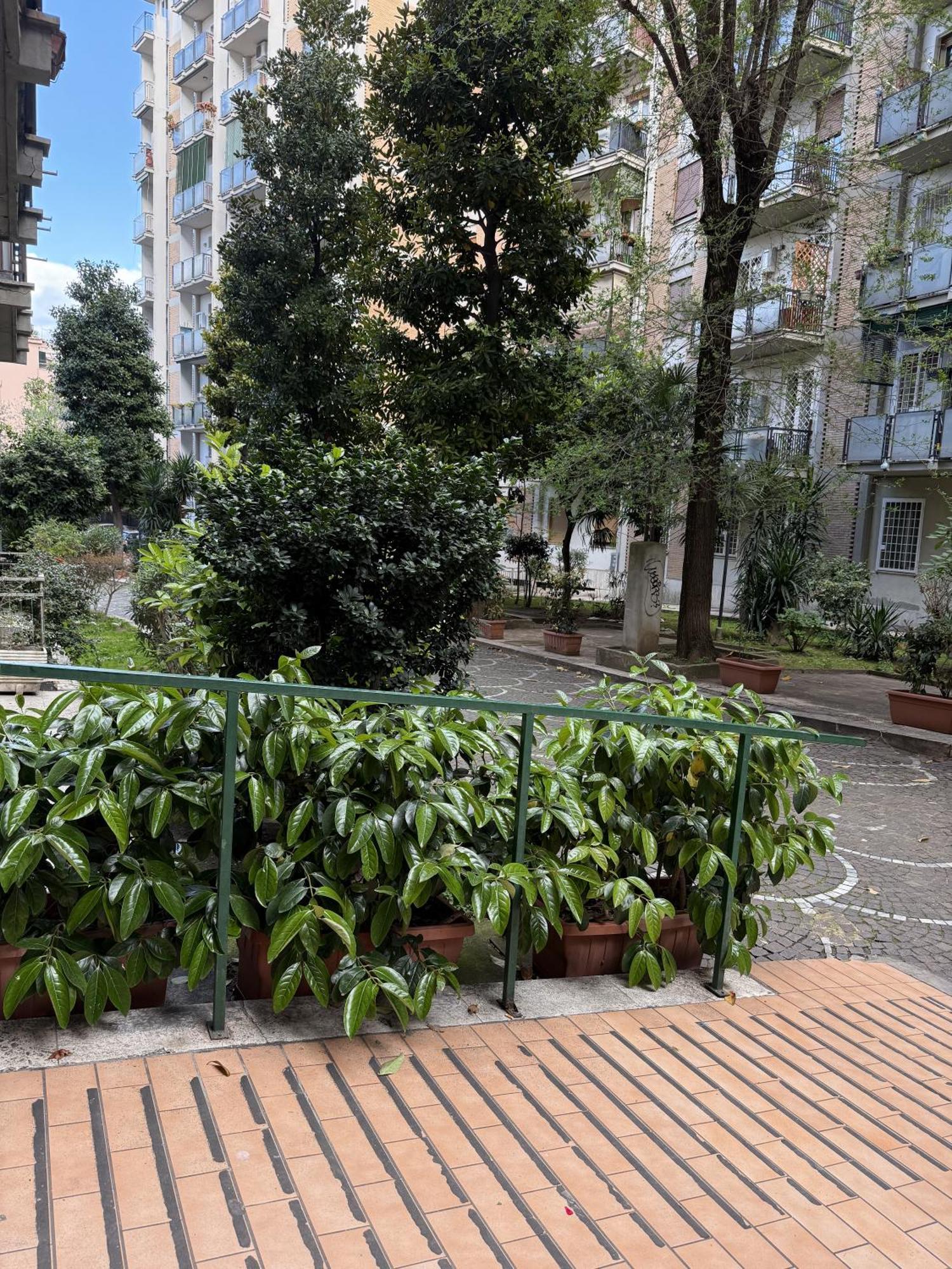 Sweet Life Monteverde — Photos 1